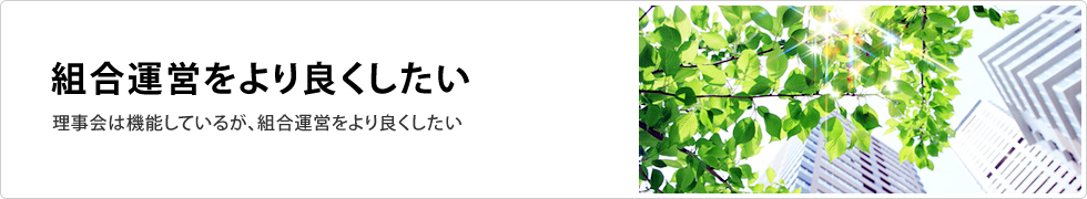 組合運営をより良くしたい／理事会は機能しているが、組合運営をより良くしたい