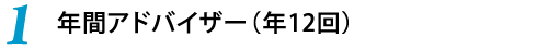 1.年間アドバイザー（年12回）