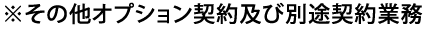 その他オプション契約及び別途契約業務